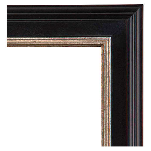 Contemporary frame 310-NL