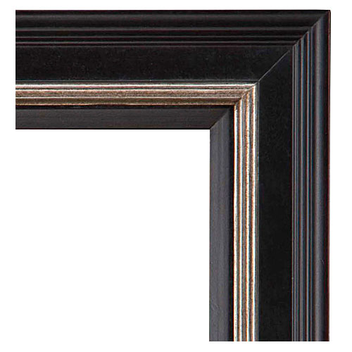 Contemporary frame 310-WL