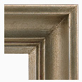 598-238-NL Traditional picture frame, Antique champagne silver. No liner.