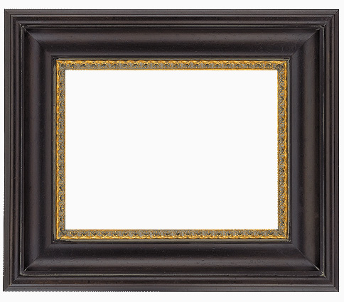 Traditional Picture Frame 665, corner detail (665-84G-NL Traditional picture frame)