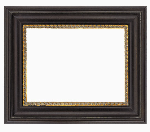 Traditional Picture Frame 665M, corner detail (665M-84G-NL Traditional picture frame)
