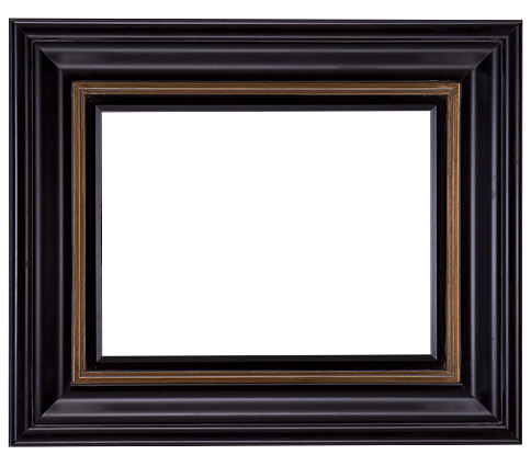 Traditional Picture Frame 695M-WL, corner detail (695M-84G-WL Traditional picture frame)